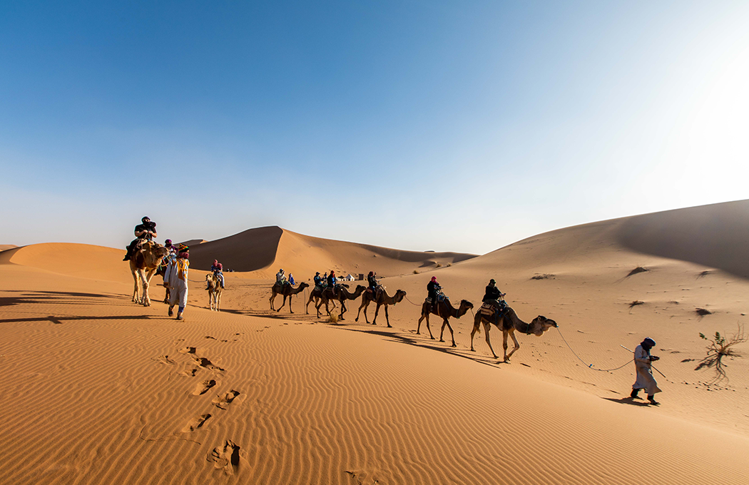 Desert Safari & BBQ Night
